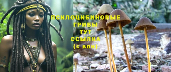мефедрон Медвежьегорск