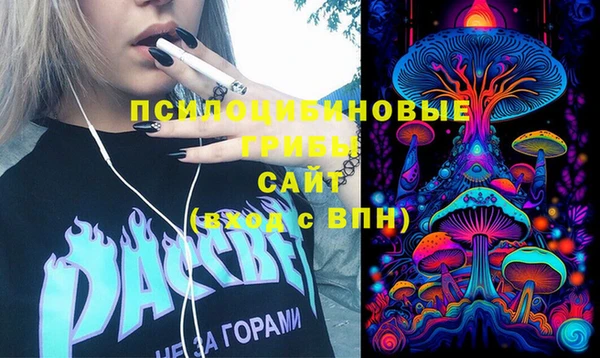 МДПВ Алексеевка