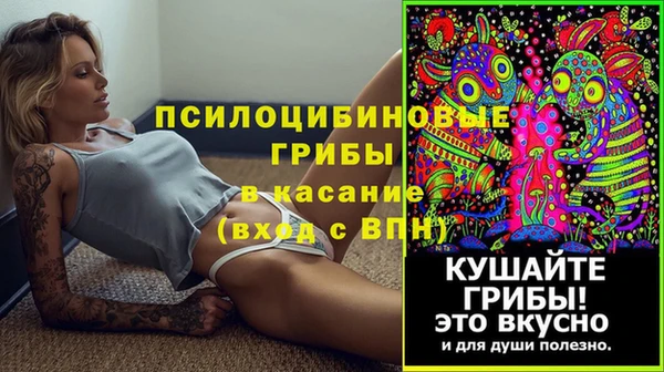 героин Алексин