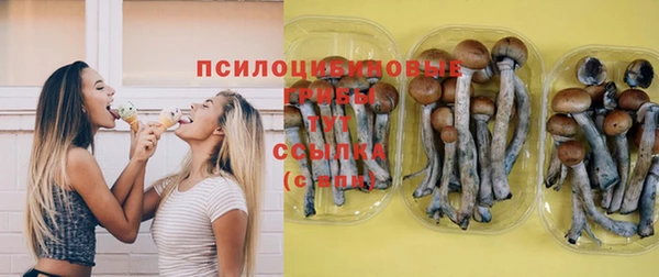 амф Алзамай